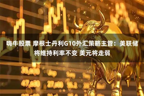 嗨牛股票 摩根士丹利G10外汇策略主管:美联储将维持利率不变 美元将走弱