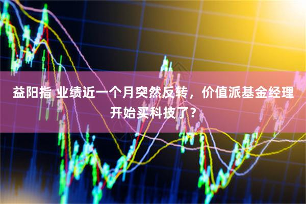 益阳指 业绩近一个月突然反转，价值派基金经理开始买科技了？